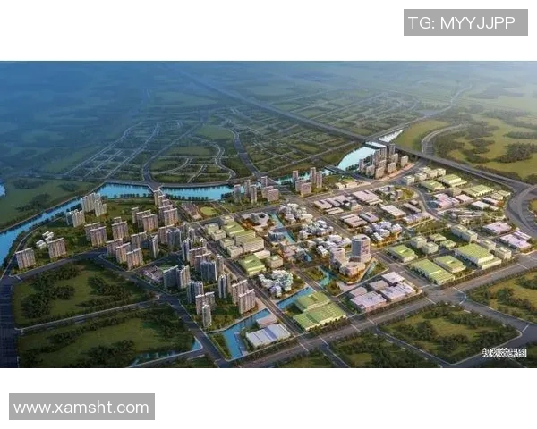 大田地铁与江陵发展对比探讨城市交通建设的未来方向与挑战